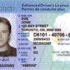 Canadian Driver’s license