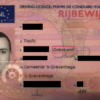 Dutch drivers license