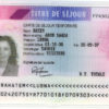 French Permanent Residence Permit