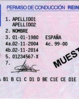 Spanish driving license