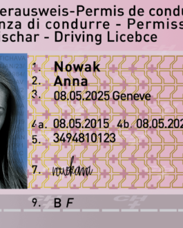 Switzerland Drivers License