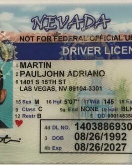 Buy Norway drivers license online