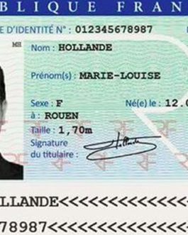 French National identity card