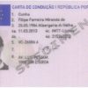 Portuguese Drivers License