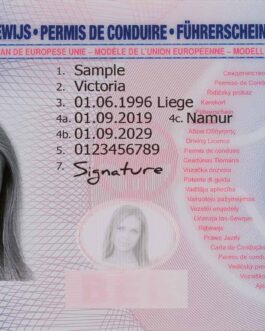 Buy Belgian Driver’s License