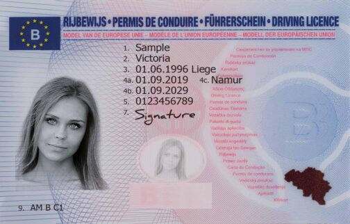 Buy Belgian Driver's License