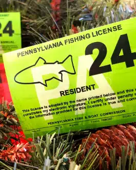 Buy PA Fishing License Online