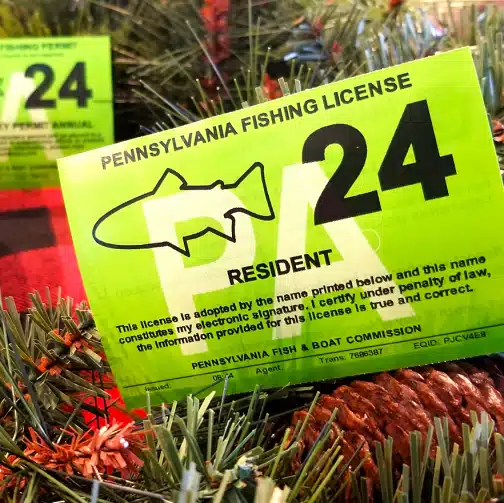 Buy PA Fishing License